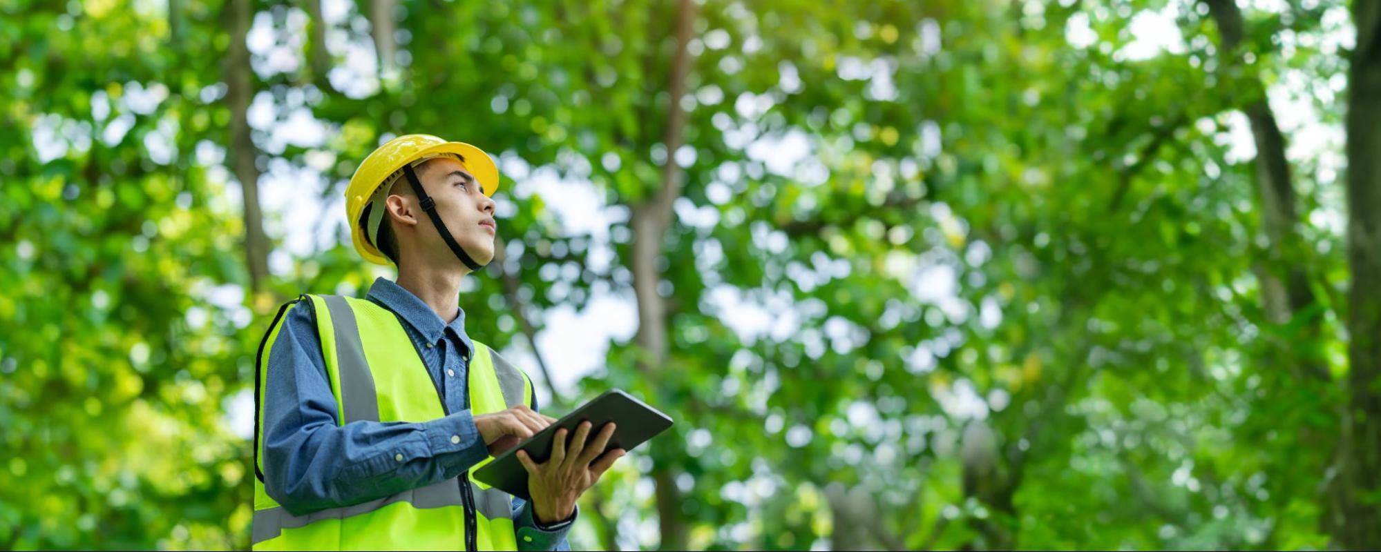 A male forestry technician wearing safety gear holds a tablet while checking weather conditions in a forested environment.