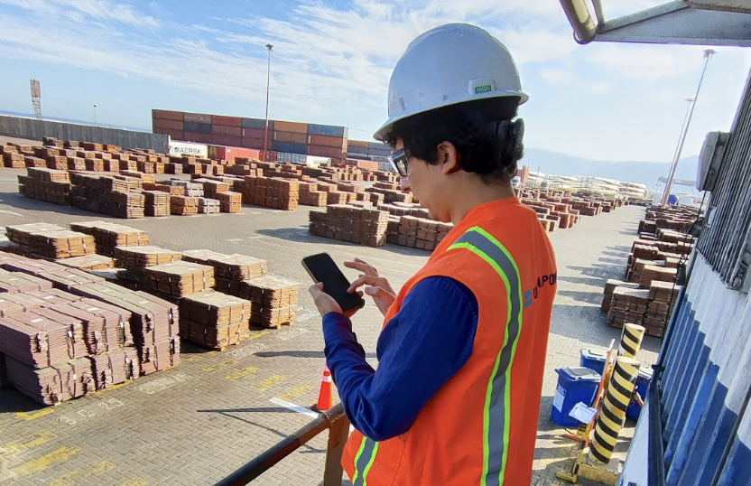 Person in a hard hat and vest using a cell phone with a port in the background.